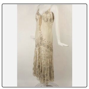 Elegant Beige and Silver Embellished Dress